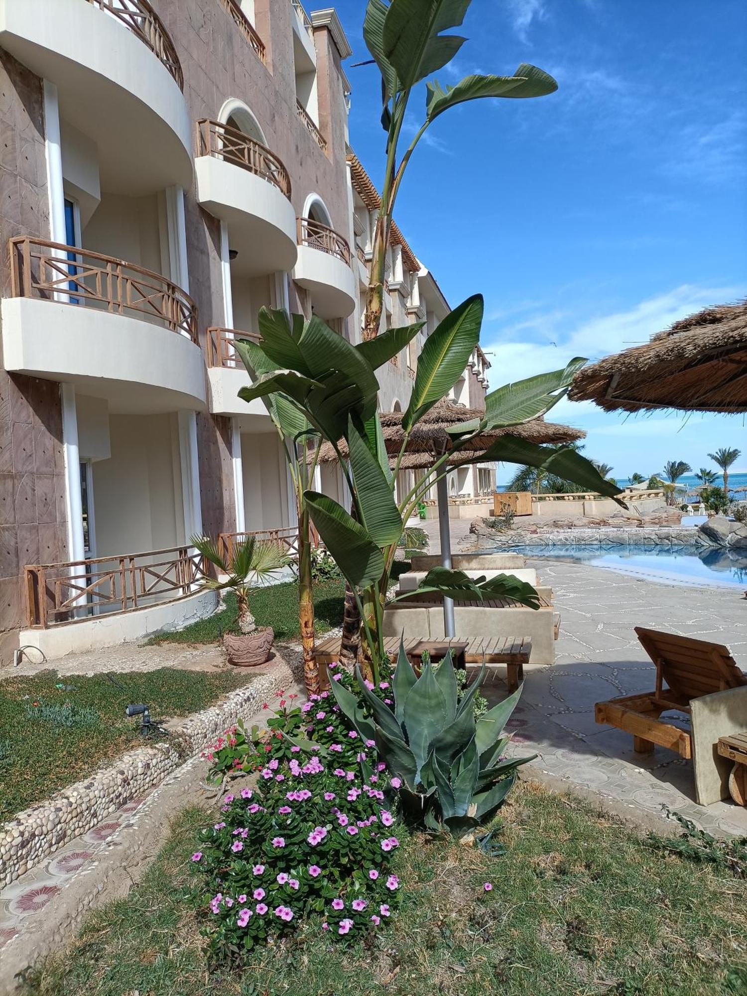 Apartamento Tony'S Privy Beds By Red Sea Hurghada Exterior foto